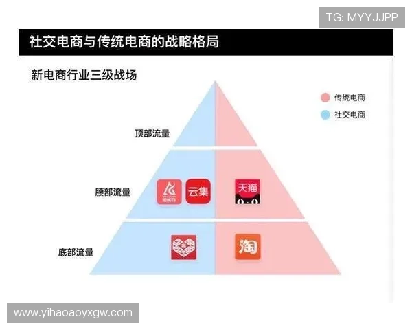探讨壹号平台在社交电商领域的独特优势与挑战